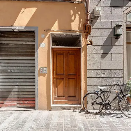 Faenza By Mamo *